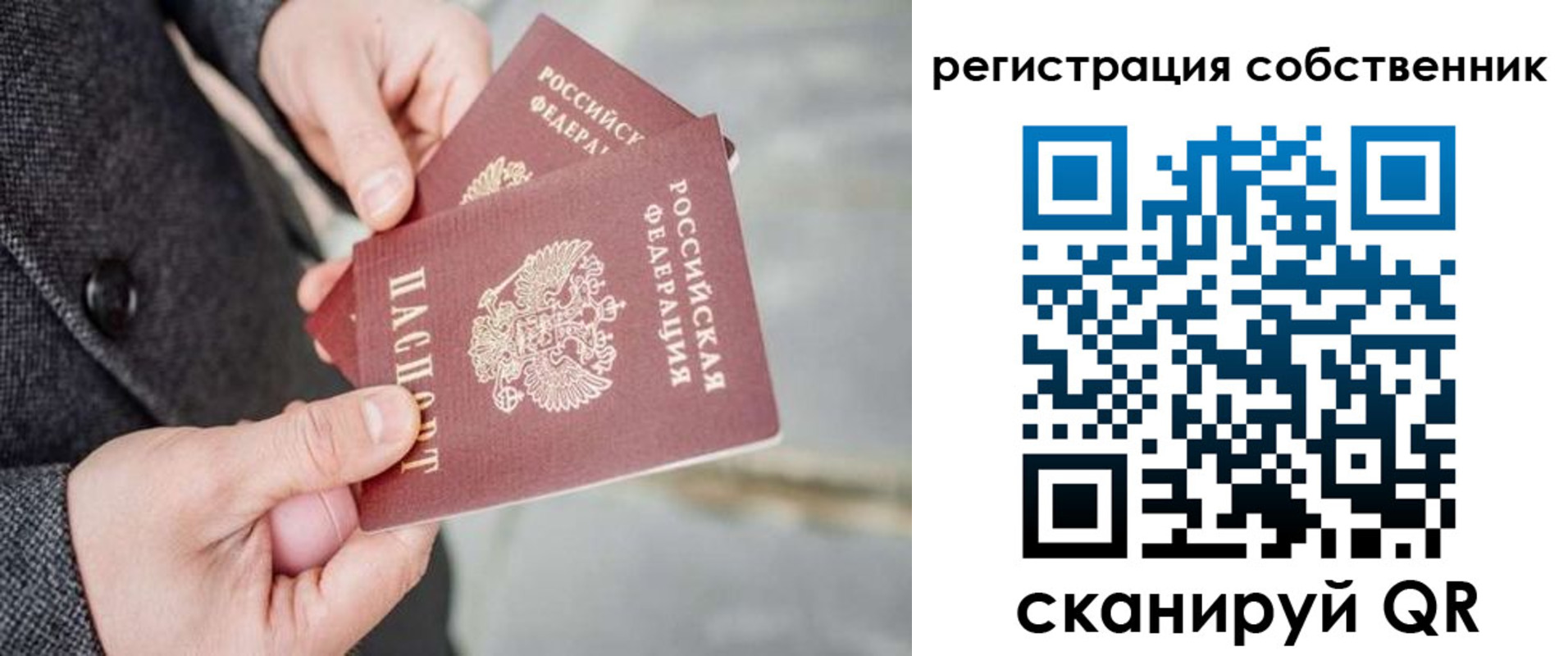 временная регистрация гарантия в Бородино